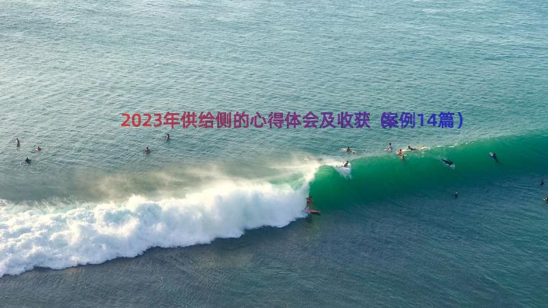 2023年供给侧的心得体会及收获（案例14篇）