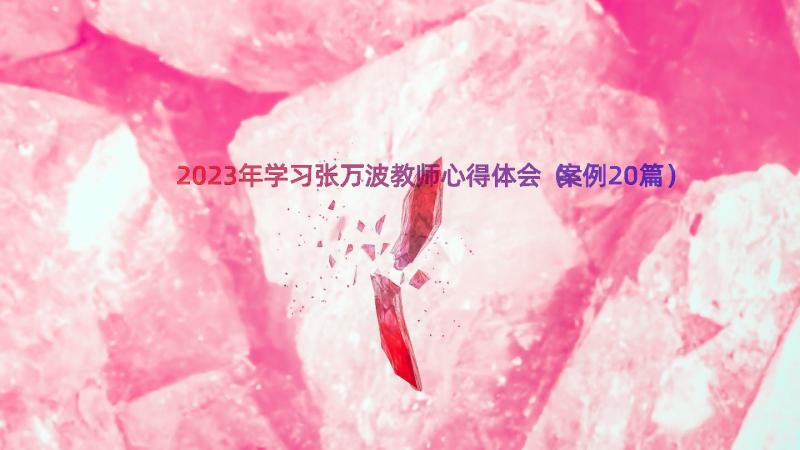 2023年学习张万波教师心得体会（案例20篇）