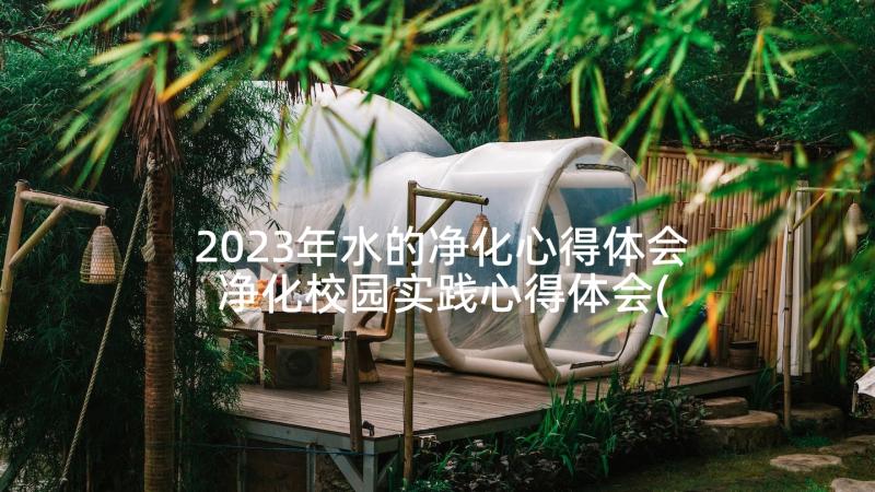 2023年水的净化心得体会 净化校园实践心得体会(大全5篇)