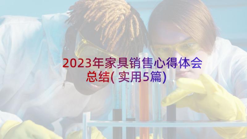 2023年家具销售心得体会总结(实用5篇)