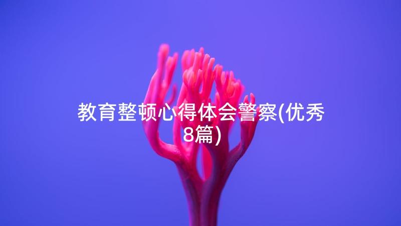 教育整顿心得体会警察(优秀8篇)