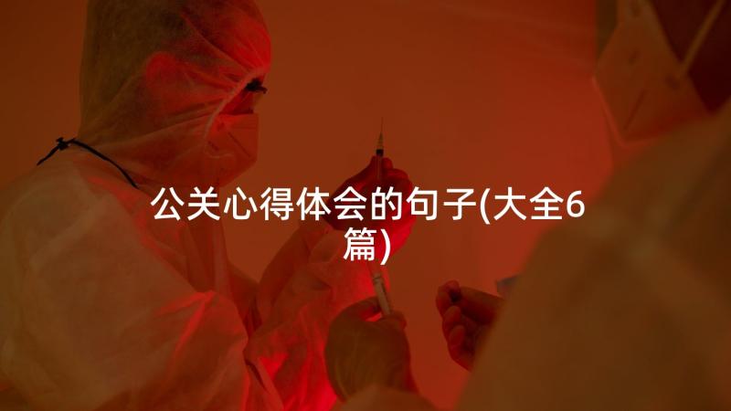 公关心得体会的句子(大全6篇)