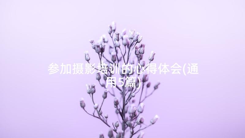 参加摄影培训的心得体会(通用5篇)