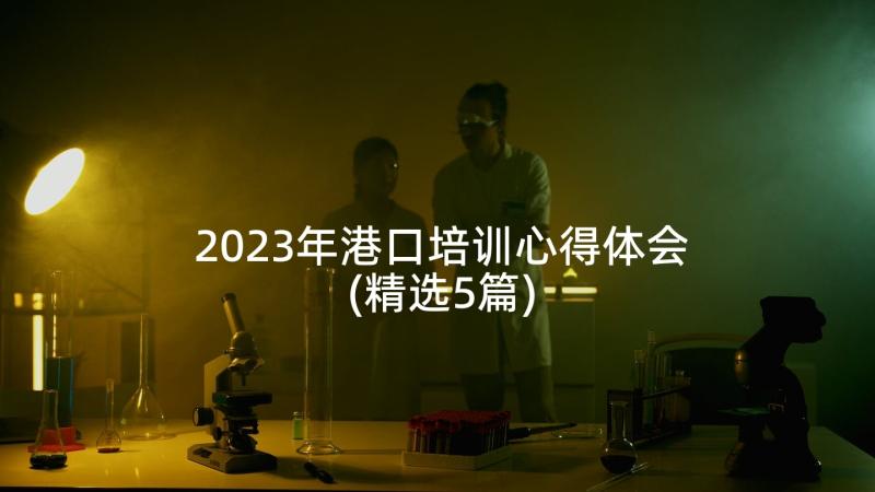 2023年港口培训心得体会(精选5篇)