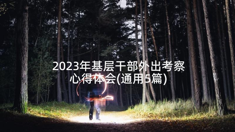 2023年基层干部外出考察心得体会(通用5篇)