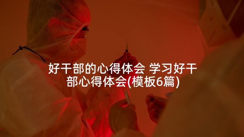 好干部的心得体会 学习好干部心得体会(模板6篇)