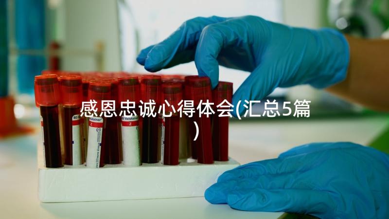 感恩忠诚心得体会(汇总5篇)