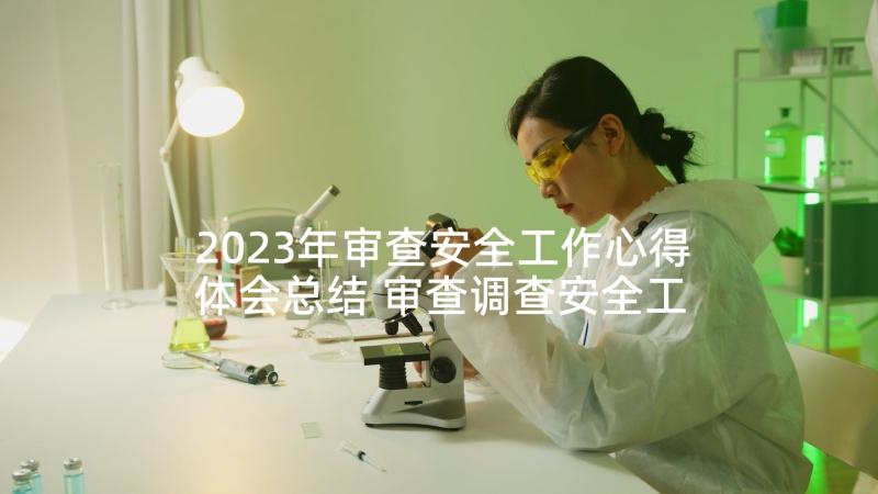 2023年审查安全工作心得体会总结 审查调查安全工作的心得体会(优质5篇)