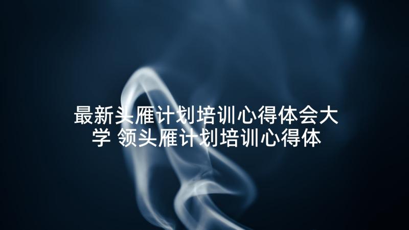 最新头雁计划培训心得体会大学 领头雁计划培训心得体会(优质5篇)