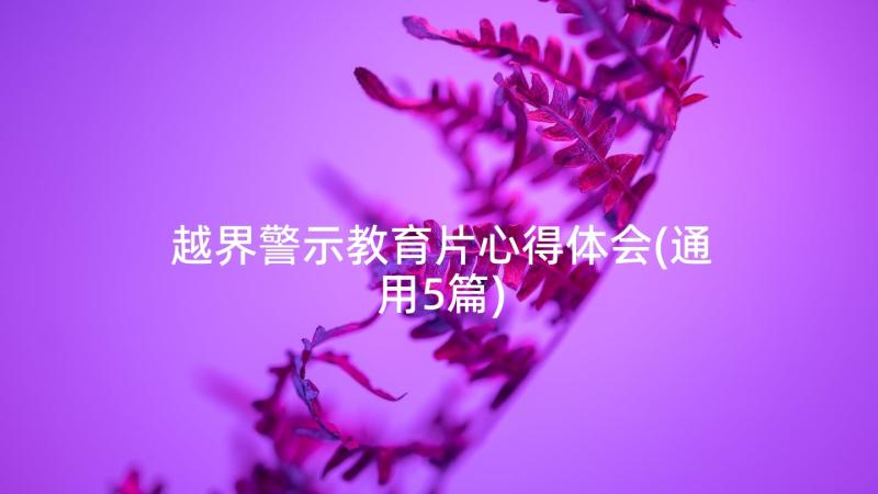 越界警示教育片心得体会(通用5篇)