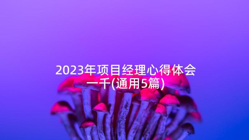 2023年项目经理心得体会一千(通用5篇)