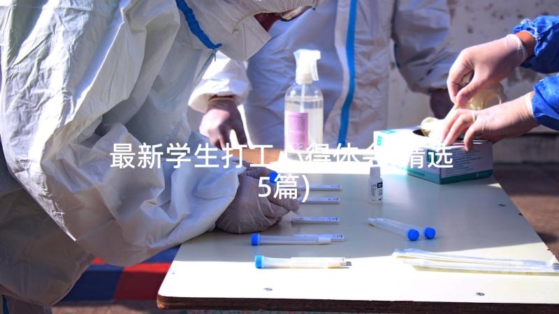 最新学生打工心得体会(精选5篇)