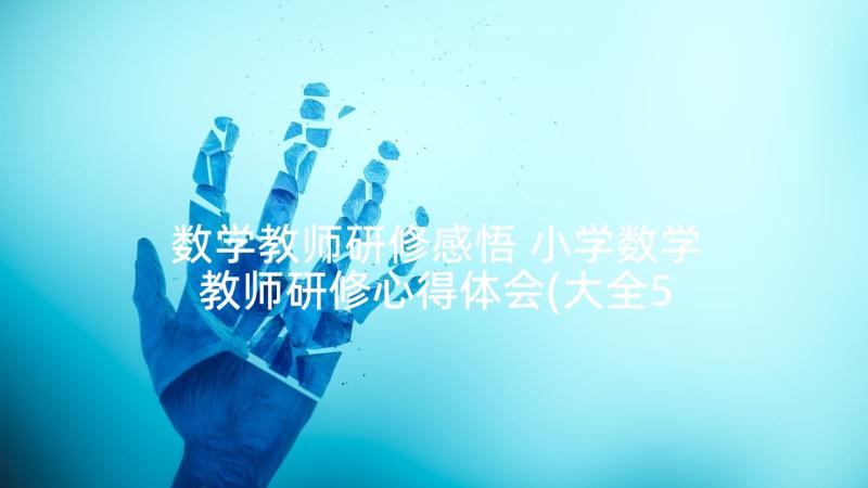 数学教师研修感悟 小学数学教师研修心得体会(大全5篇)