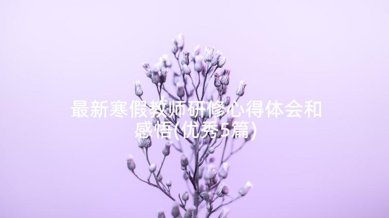 最新寒假教师研修心得体会和感悟(优秀5篇)