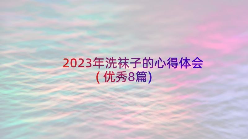 2023年洗袜子的心得体会(优秀8篇)