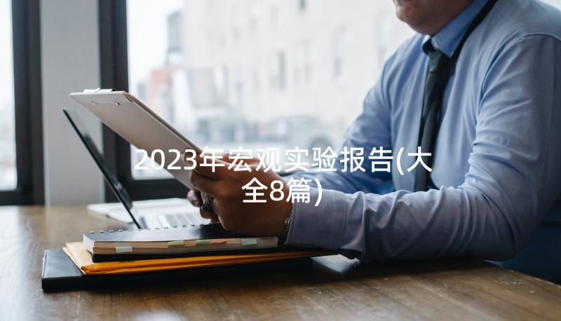 2023年宏观实验报告(大全8篇)