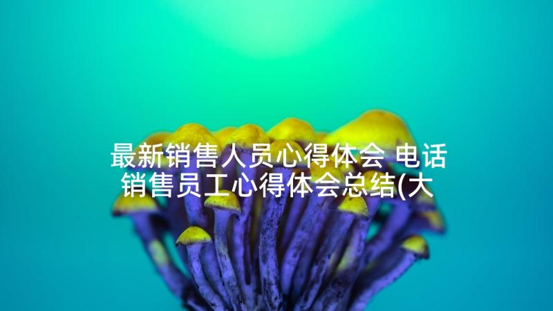 最新销售人员心得体会 电话销售员工心得体会总结(大全6篇)