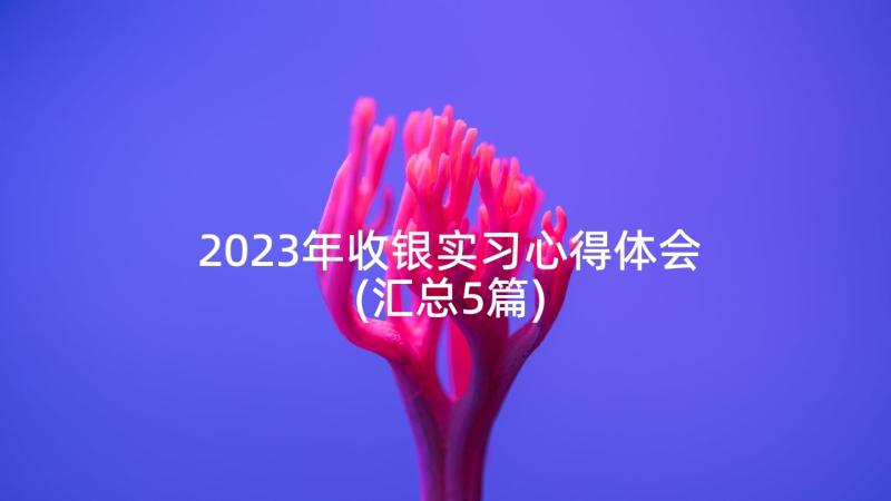 2023年收银实习心得体会(汇总5篇)