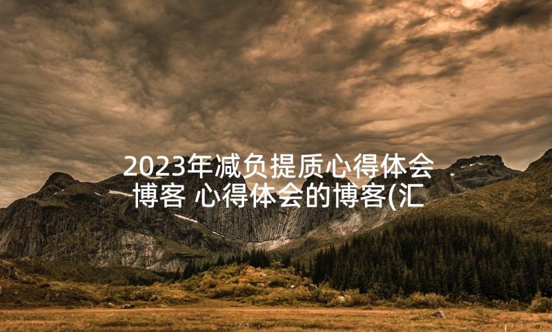 2023年减负提质心得体会博客 心得体会的博客(汇总8篇)