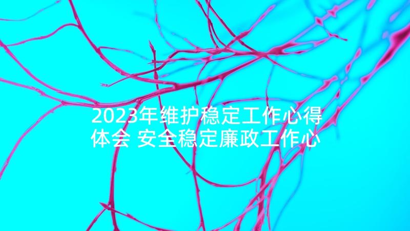 2023年维护稳定工作心得体会 安全稳定廉政工作心得体会(大全5篇)