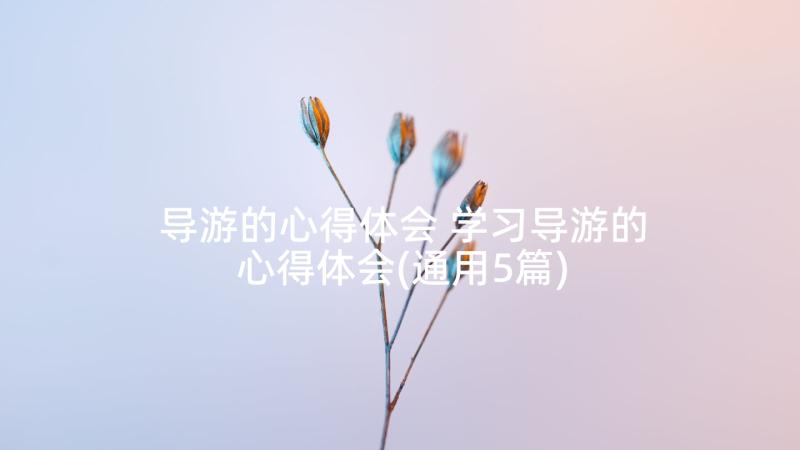 导游的心得体会 学习导游的心得体会(通用5篇)