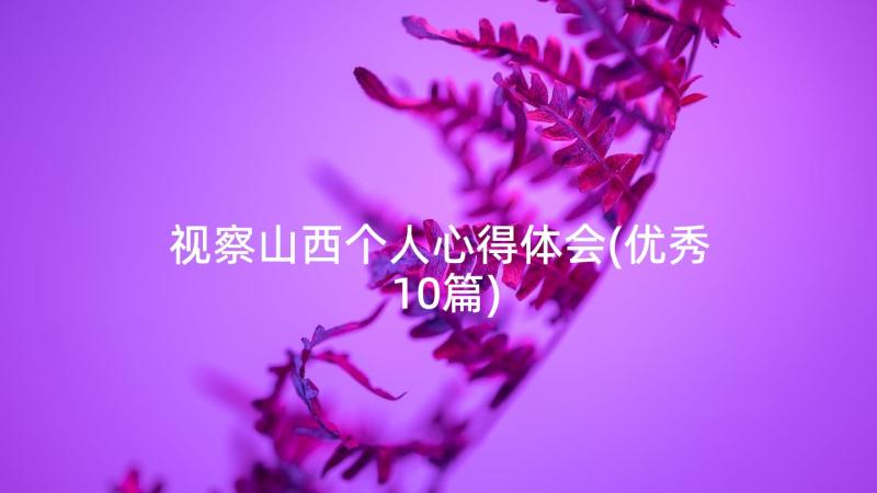 视察山西个人心得体会(优秀10篇)