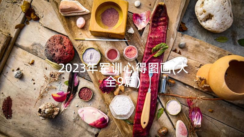 2023年军训心得图画(大全9篇)