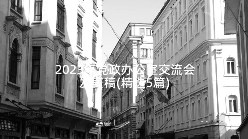 2023年党政办公室交流会发言稿(精选5篇)