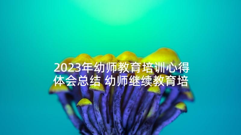 2023年幼师教育培训心得体会总结 幼师继续教育培训心得体会(实用5篇)