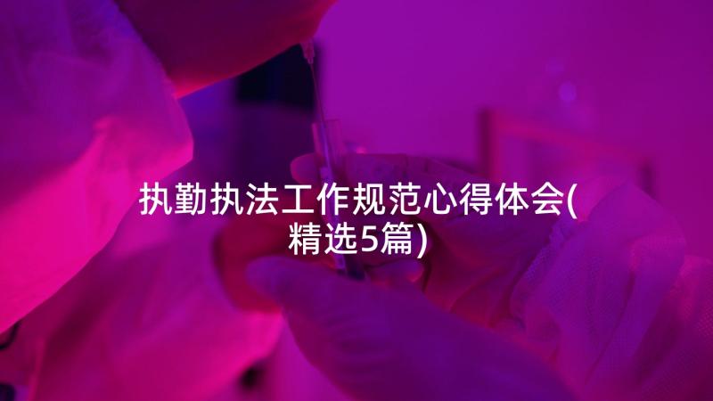 执勤执法工作规范心得体会(精选5篇)