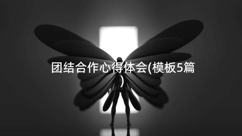 团结合作心得体会(模板5篇)