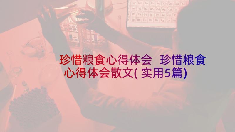 珍惜粮食心得体会 珍惜粮食心得体会散文(实用5篇)