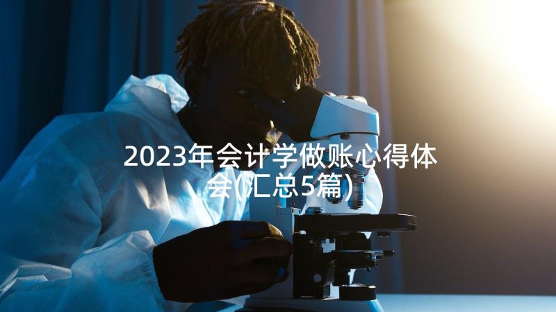 2023年会计学做账心得体会(汇总5篇)