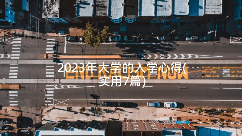 2023年大学的入学心得(实用7篇)