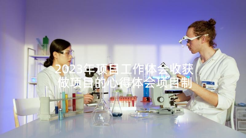 2023年项目工作体会收获 做项目的心得体会项目制作工作总结(优质6篇)