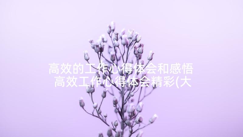 高效的工作心得体会和感悟 高效工作心得体会精彩(大全5篇)