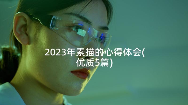 2023年素描的心得体会(优质5篇)