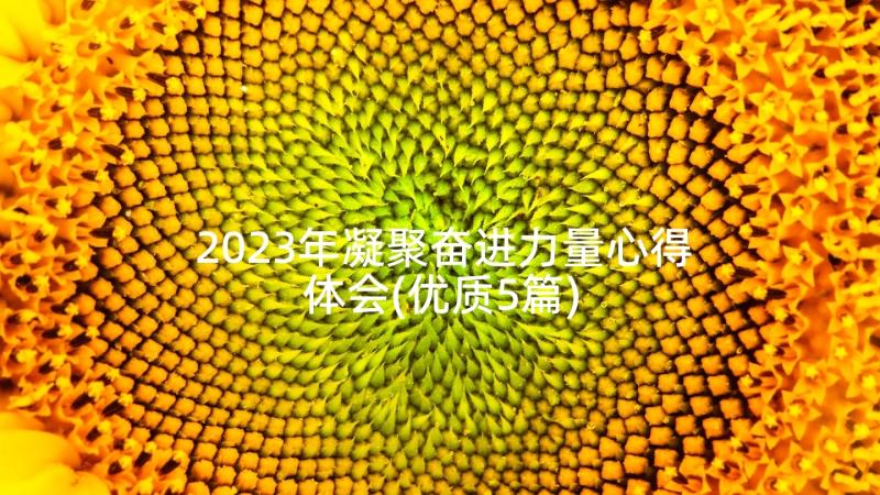 2023年凝聚奋进力量心得体会(优质5篇)