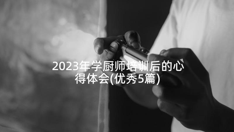 2023年学厨师培训后的心得体会(优秀5篇)