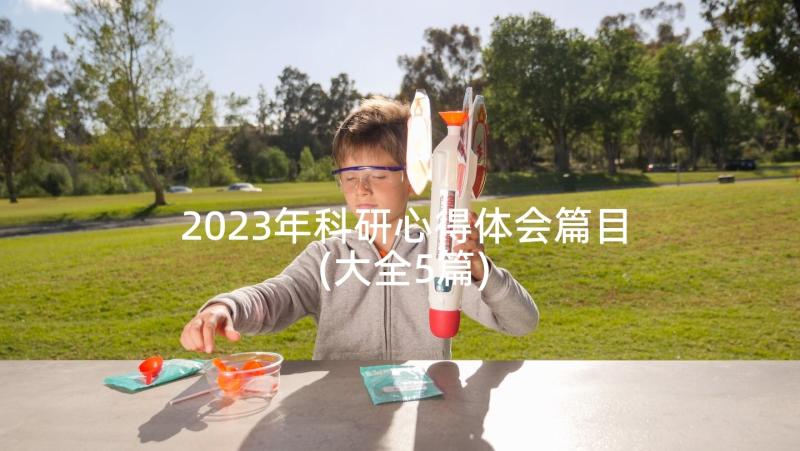 2023年科研心得体会篇目(大全5篇)