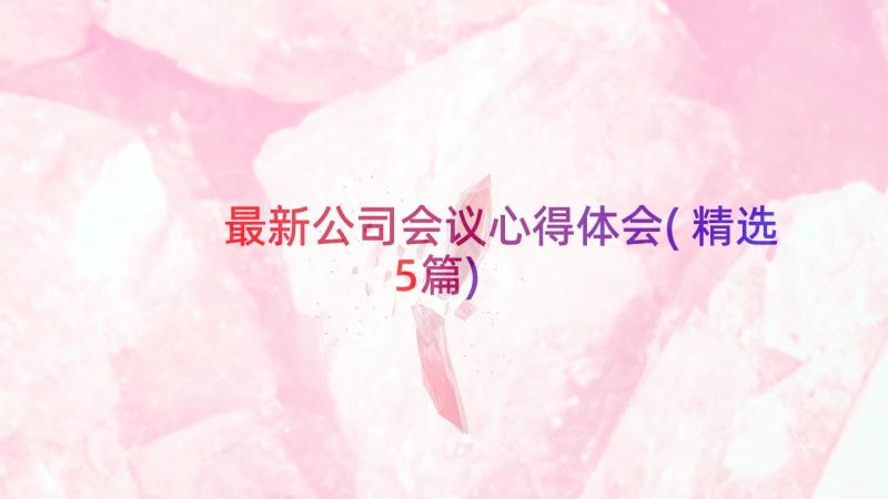 最新公司会议心得体会(精选5篇)