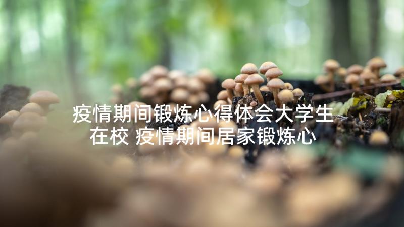 疫情期间锻炼心得体会大学生在校 疫情期间居家锻炼心得体会(大全5篇)