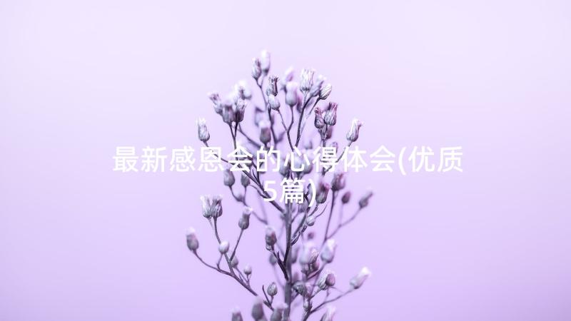 最新感恩会的心得体会(优质5篇)