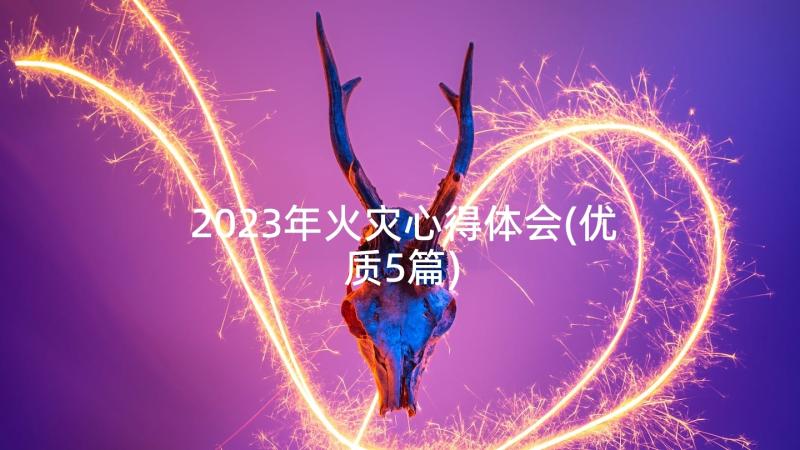 2023年火灾心得体会(优质5篇)