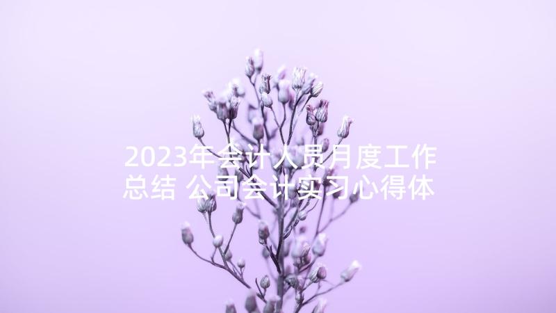 2023年会计人员月度工作总结 公司会计实习心得体会总结(汇总7篇)