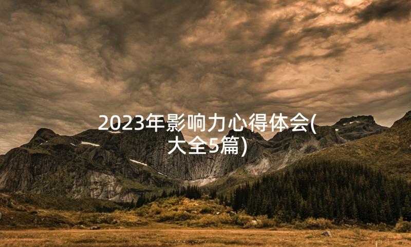 2023年影响力心得体会(大全5篇)