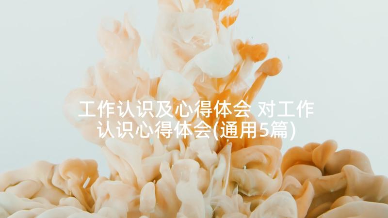 工作认识及心得体会 对工作认识心得体会(通用5篇)