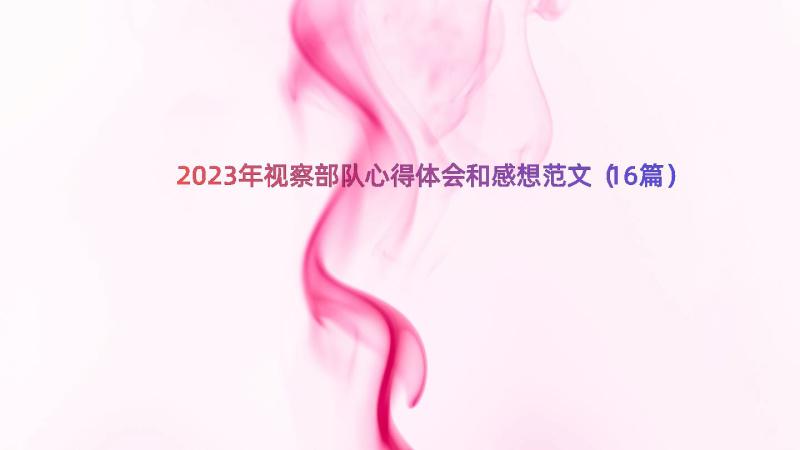 2023年视察部队心得体会和感想范文（16篇）