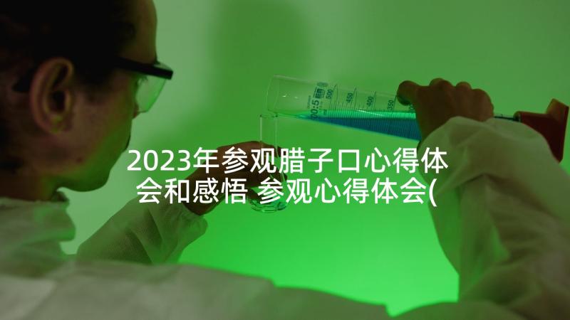 2023年参观腊子口心得体会和感悟 参观心得体会(模板5篇)