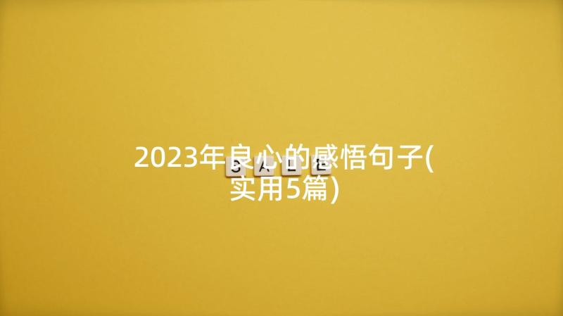 2023年良心的感悟句子(实用5篇)